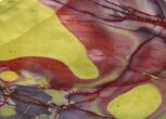 Polished Mookaite Jasper Slab - Australia #65024-1